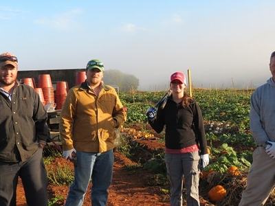 Four farm workers standing in a field with rows of vegetables and pumpkins