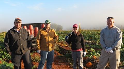 Four farm workers standing in a field with rows of vegetables and pumpkins