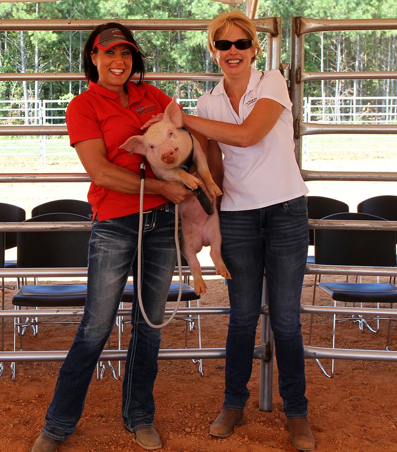 two women holding a pig
