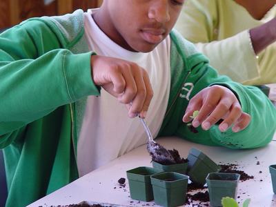 Youth tabletop gardening at NHC Arboretum outdoor classroom