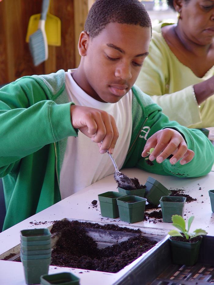 Youth tabletop gardening at NHC Arboretum outdoor classroom