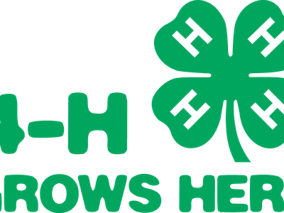 Green 4‑H four‑leaf clover with an H on each leaf and text "4‑H GROWS HERE"