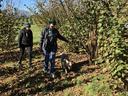 Hunting for truffles with a truffle dog