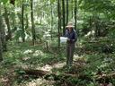 Person in a wide-brim hat standing in a forested area holding and reading a paper/map