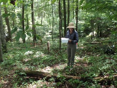 Person in a wide-brim hat standing in a forested area holding and reading a paper/map