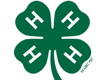 4-H logo