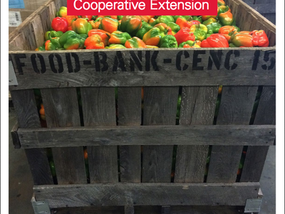 Crate of bell peppers stamped "FOOD-BANK-CENC 15" with text "Farm to Food Bank Resource Guide"