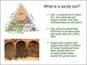 poster describing sandy soil