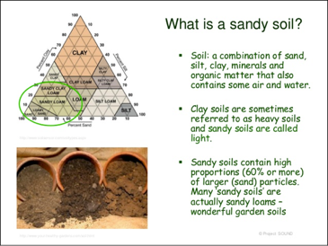 poster describing sandy soil
