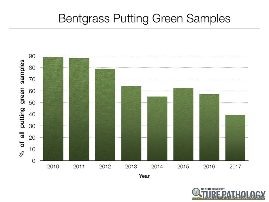 Data summary chart image 4