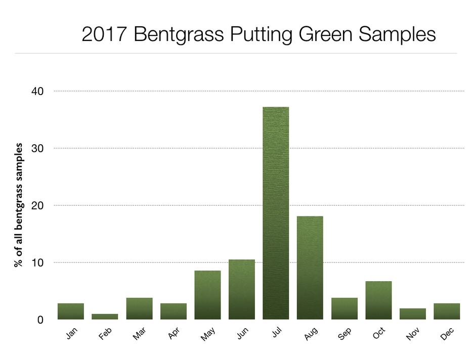 Data summary chart image 5