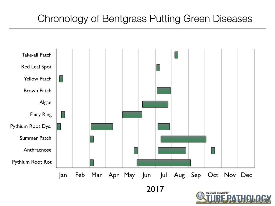Data summary chart image 8