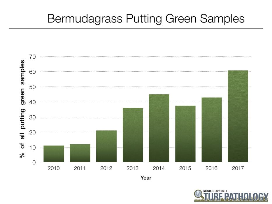 Data summary chart image 9