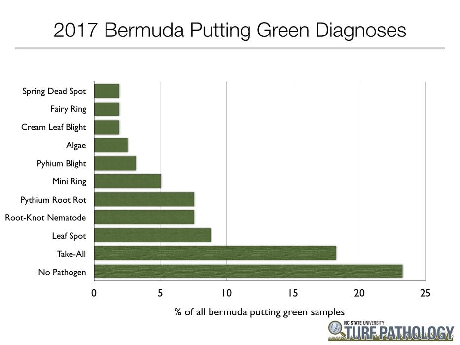 Data summary chart image 12