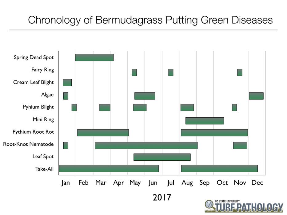Data summary chart image 13
