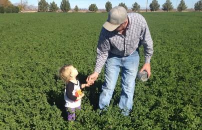 Man and child in field