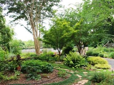 Garden with stepping-stone path, trees, shrubs, and gravel walkway