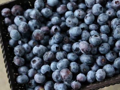 blueberries