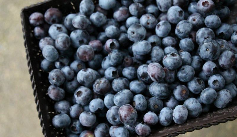 blueberries