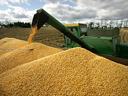 Green combine unloading yellow corn kernels into large grain pile in harvested field