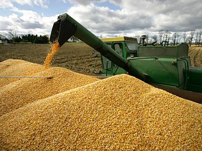 Green combine unloading yellow corn kernels into large grain pile in harvested field
