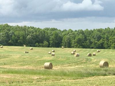 Round hay bales scattered across a mown field with trees and cloudy sky