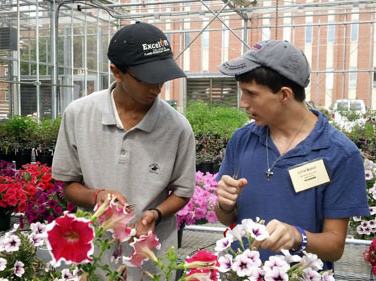 two young men talking about plant breeding