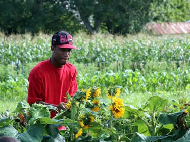 Youth on a farm looking at flowers