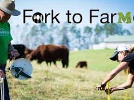 Two farmers taking soil measurements in a pasture with cattle; text "Fork to Farmer"