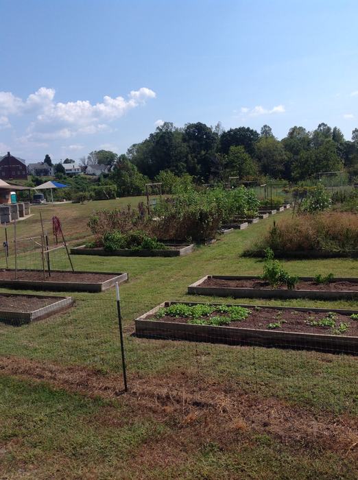 Unity Park and Community Gardens in Lenoir has raised beds for rent, a walking trail, and a small orchard.