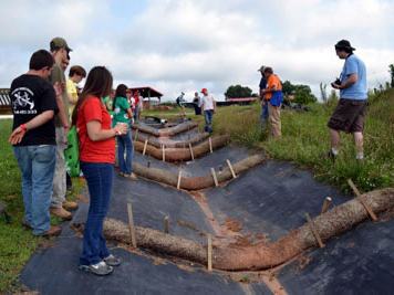 Observation of best management practices on ditch line to manage sediment in the runoff.