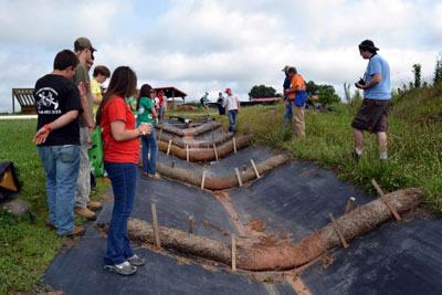 Observation of best management practices on ditch line to manage sediment in the runoff.