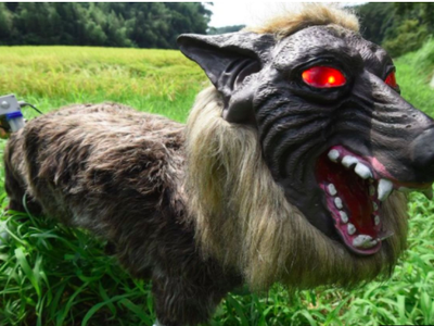 Wolf-like mechanical scarecrow with glowing red eyes and bared teeth in grassy field