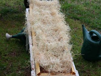 Example rainbox covered with excelsior, an aspen-tree based erosion control blanket