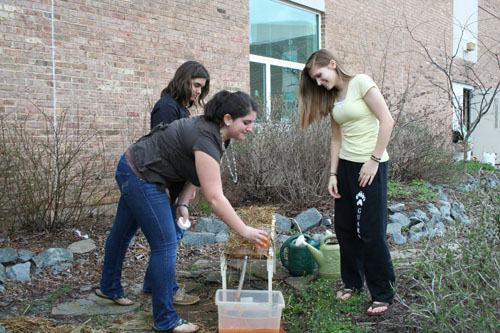 Students making their own erosion control methods