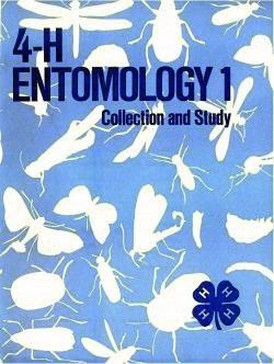 4-H Entomology 1