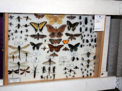This collection has a number of different orders.