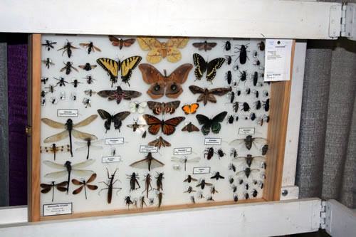 This collection has a number of different orders.