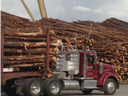 truck carrying load of timber driving through timber yard