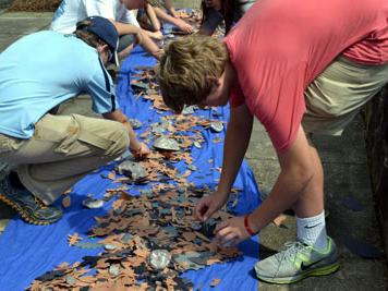 Stream sampling for macroinvertebrates