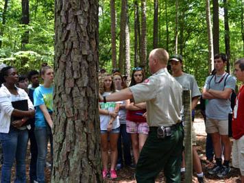 Tree identification helps foresters begin to make land-use and management decisions
