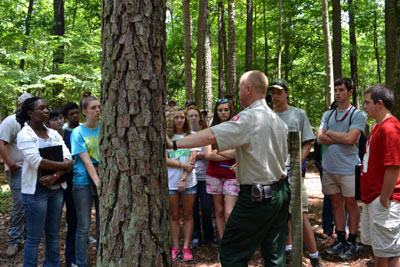 Tree identification helps foresters begin to make land-use and management decisions