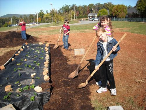 Students working on mulching