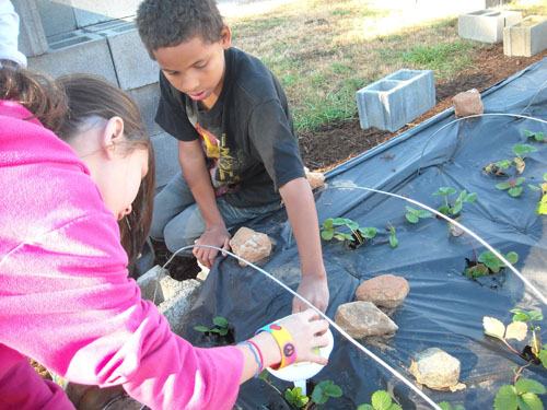Prepping the raised bed for topsoil