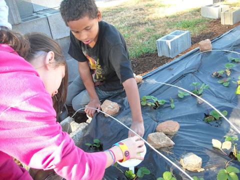Prepping the raised bed for topsoil