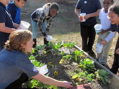 School Garden