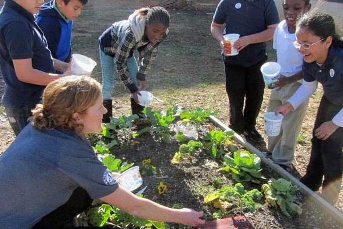 Students gathered around a raised bed garden.