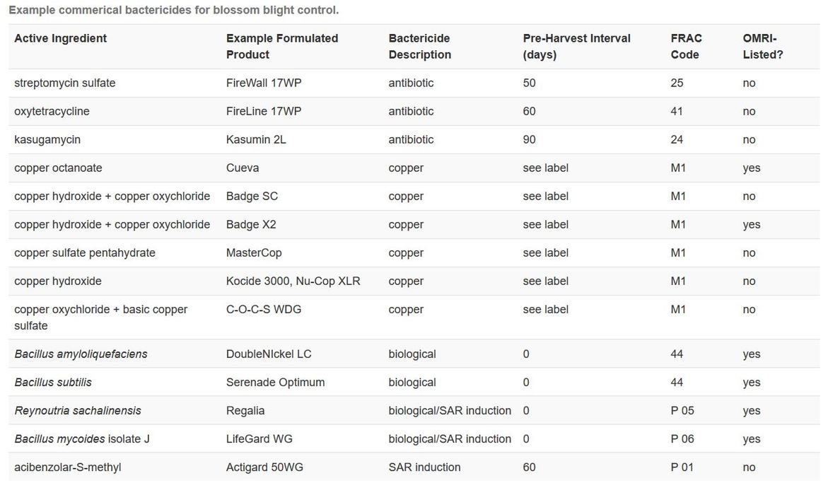 Options for blossom blight management chart image