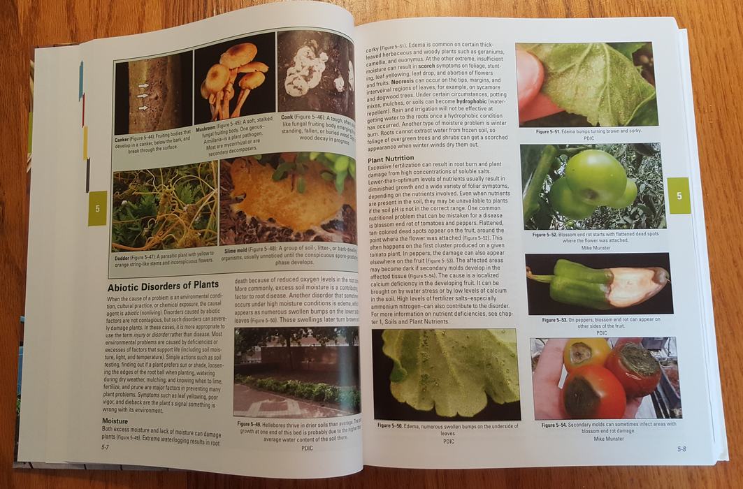 Sample pages from book