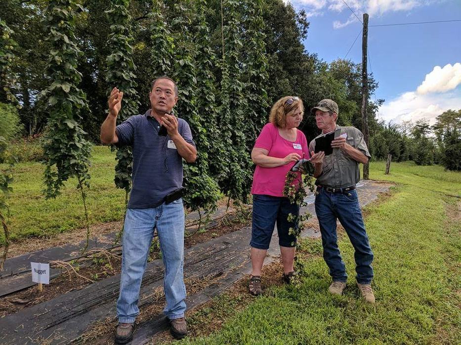 Dr. Luping Qu, hops breeder, describing his work at a hops field day